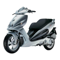 Preview: Malaguti PHANTOM MAX 125