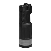 Preview: Leader Pumps DIVERTRON