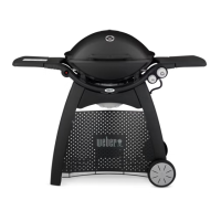 Preview: Weber 3200