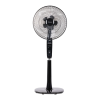 Fan Logo