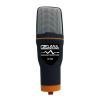 Microphone Logo