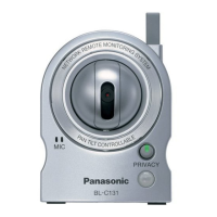 Preview: Panasonic BL-C111