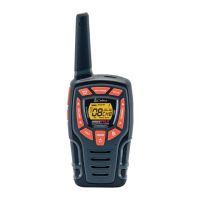 Preview: Cobra AM845