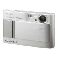 Preview: Sony Cybershot DSC-T10