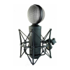Microphone Logo