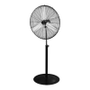 Fan Logo