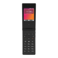 Preview: Telstra Flip 2 T21