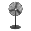 Fan Logo