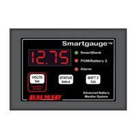 Preview: Balmar Smartgauge