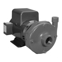 Preview: Goulds Pumps 3656