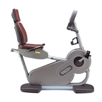 Preview: Technogym Recline 500SP