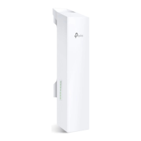 Preview: TP-Link CPE220