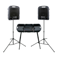 Preview: Peavey ESCORT 3000