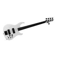 Preview: Peavey 5-String Dyna-Bass