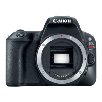 Preview: Canon EOS Rebel SL2 EOS 200D