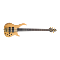 Preview: Peavey Cirrus