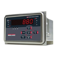 Preview: Rice Lake 880