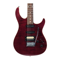Preview: Peavey Limited Series