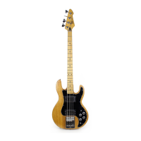 Preview: Peavey T-40