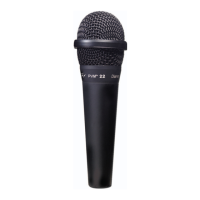 Preview: Peavey 22