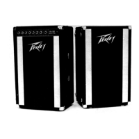 Preview: Peavey PA 100