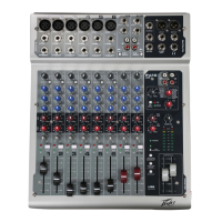 Preview: Peavey PV 10