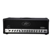 Preview: Peavey 6534