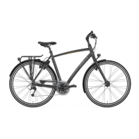 Preview: Gazelle Orange C330 HMB