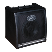 Preview: Peavey KB2