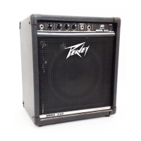 Preview: Peavey Minx 110