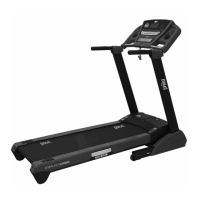 Preview: Everlast CARDIO TREADMILL