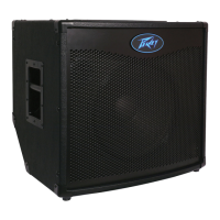 Preview: Peavey TKO