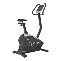 Preview: Everlast VECTOR BIKE