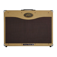 Preview: Peavey Classic 50 212