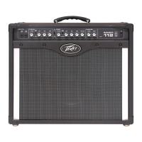 Preview: Peavey Bandit 112