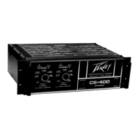 Preview: Peavey CS-400