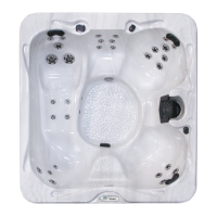 Preview: Cal Spas PATIO