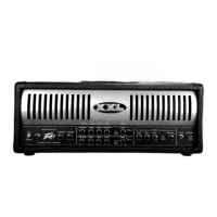 Preview: Peavey XXL