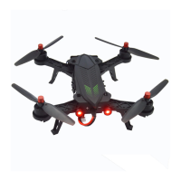 Preview: MJX R/C Bugs 6