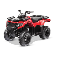 Preview: Arctic Cat Altera 300