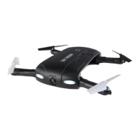 Preview: sky rider sparrow pro