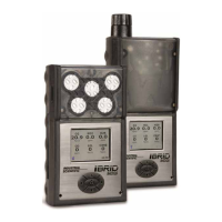 Preview: Industrial Scientific MX6 iBrid