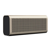 Preview: Braven B710