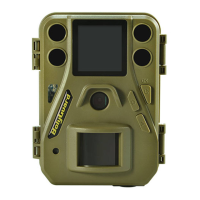 Preview: Boly SG520