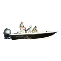 Preview: Sailfish 1900 BB