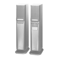 Preview: Sony SA-VA100