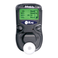 Preview: Rae QRAE II