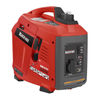 Preview: Black Max BMi1000