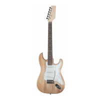 Preview: Harley Benton ST Style