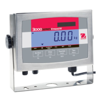 Preview: OHAUS 3000 Series T32XW